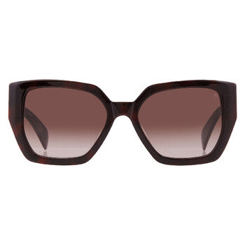 Brown Gradient Butterfly Ladies Sunglasses