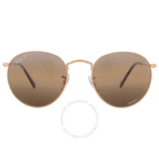 نظارات شمسية رجالية Ray-Ban، إطار دائري معدني، لون فضي وبني