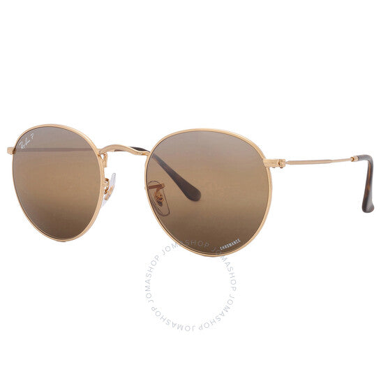 نظارات شمسية رجالية Ray-Ban، إطار دائري معدني، لون فضي وبني