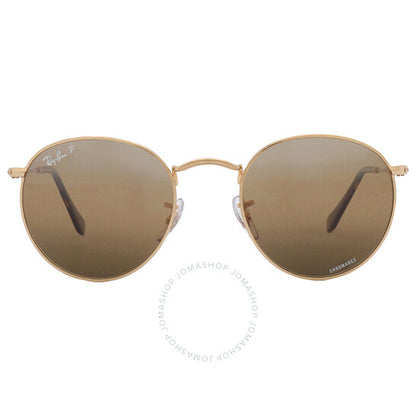 نظارات شمسية راي بان دائرية معدنية للرجال باللون الفضي/البني