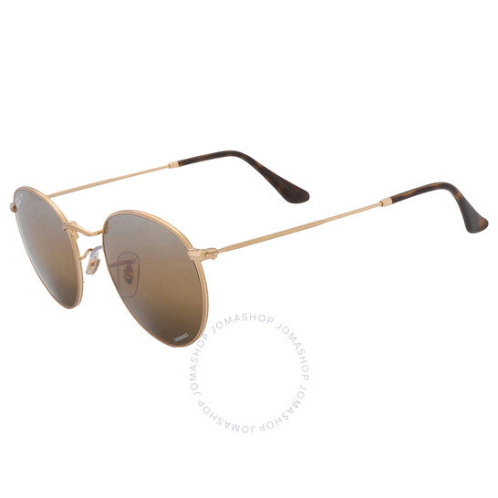 نظارات شمسية راي بان دائرية معدنية للرجال باللون الفضي/البني