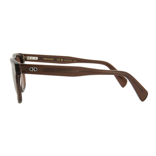 Salvatore Brown Browline Men's Sunglasses