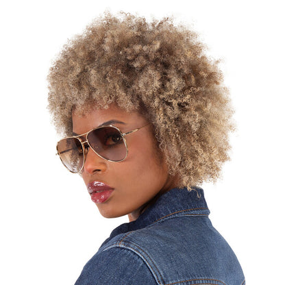 Salvatore Brown Gradient Pilot Ladies Sunglasses