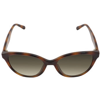 Salvatore Grey Gradient Butterfly Ladies Sunglasses