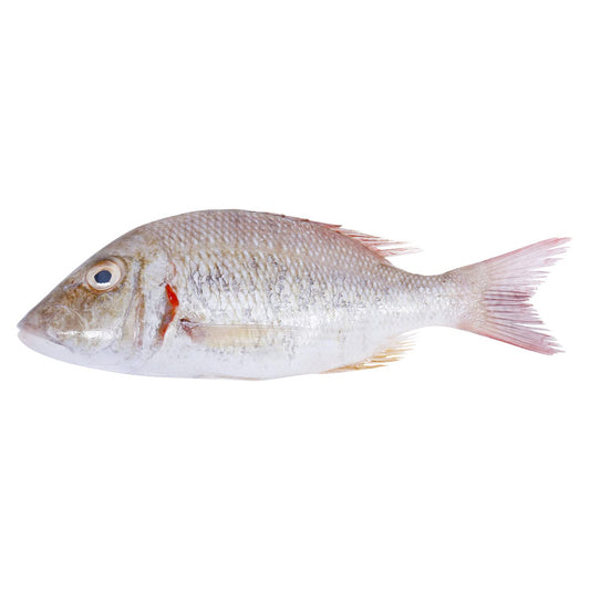 srcMediaId:gid://shopify/MediaImage/32272555081839