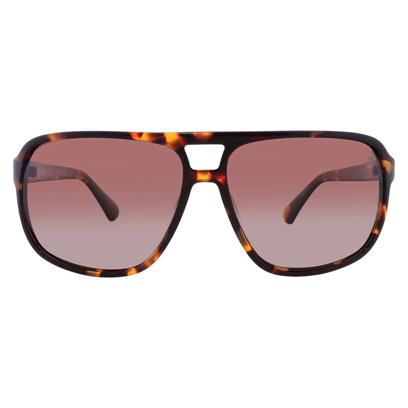 Polarized Brown Navigator Men's Sunglasses