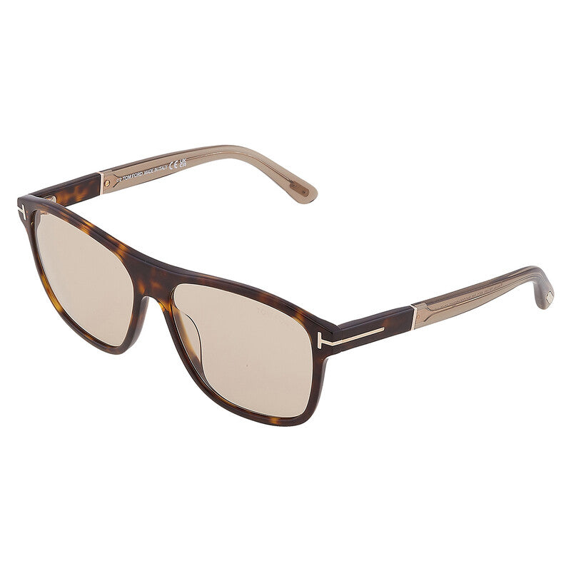 FRANCES Brown Square Men's Sunglasses