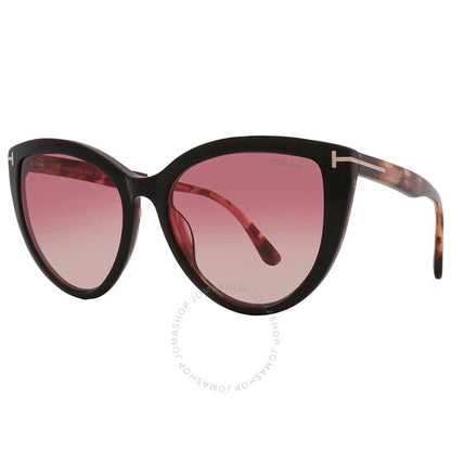 Tom Ford, Isabella Sand Pink Gradient Cat Eye Ladies Sunglasses